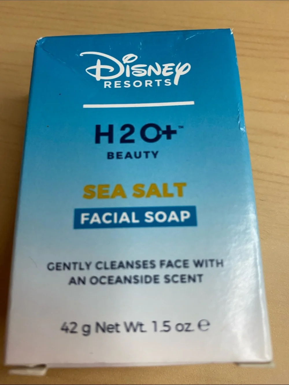 H20+ disney resorts